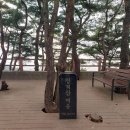 포일삼거리 이미지