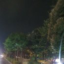 다대2동-6 이미지