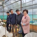 상신농장 이미지