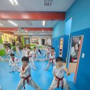 늘푸른태권스쿨 이미지