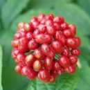 김인호농장 이미지