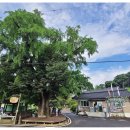 교촌1리 경로당 이미지