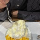 신세계 | 일상 덤프…(파라스파라호텔 호캉스, 매디슨카운티의다리 후기, 산요쟉티cg10 후기)