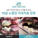 힐링동물병원 이미지