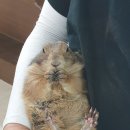 수달수영장 앞 이미지