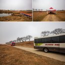 민속운동장 | 봄축제 논산 딸기축제 2026 후기 주차 성심당