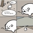 리튼에이치앤(주) | [임신기록] 23-27주차 증상 및 에이치큐브 입체초음파, 임당검사 후기