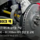 오일리브 이미지