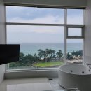 라미아까사플러스 이미지