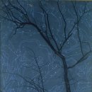 별빛하늘 이미지