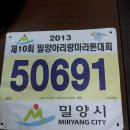 밀양 아리랑마라톤 대회 하프코스(21.0975Km) 이미지
