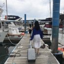 한아름5차 아파트 | 부산여행 : 요트 , 광안리, 해운대