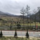 엘디팜영농조합법인 네이버블로그