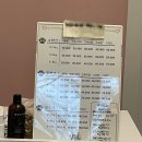 단아하개 이미지