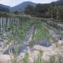 경희농원 이미지