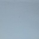 옛날 조선시대 백립 갓 희귀갓 선비갓 조선시대갓 희귀 골동품 판매 목록 사진 자료 이미지