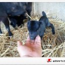 실로암 3농장 이미지