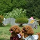 마린독스 이미지