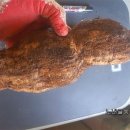 노내골농장 이미지