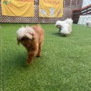 멍돌하우스 이미지