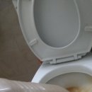 강북구변기막힘