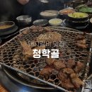 청학골 티스토리