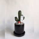 향록원 이미지