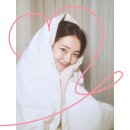 내세상 이미지