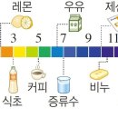 헤어브로시 이미지