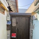 선유화길