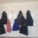 맨앤독 애견카페 이미지