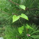 행정심판전문센터행정사사무소 이미지