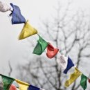 천도장묘 이미지