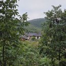 옻나무집 이미지