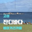 코코블루77(COCOBLUE77) | 고성 잔디바다 베이커리카페, 넓은 잔디밭과 오션뷰가 예쁜 신상 카페