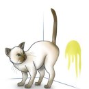 남창미르동물병원 이미지