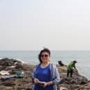 장끗 Daum카페