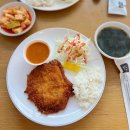 돈가스다 | [원주 기쁨이네돈가스] 원주혁신도시 맛집? 솔직 후기🍴