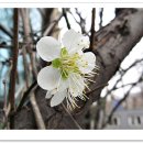 연수동주민센터 이미지