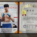레드윙 복싱 이미지