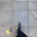 아르미케이크 | [학동] 루클라비더화이트 웨딩홀 후기, 뷔페후기