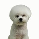 메모리멍 이미지