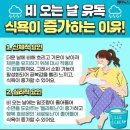 종로-연건-종로-연-297 | 2023년 4월 5주차 주간일기
