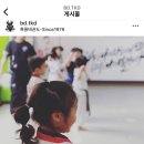 흑룡태권도장 이미지