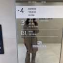 (주)코리아세븐 신월시장점 | 시원하고 따뜻한 5월의 돼지기록🎀