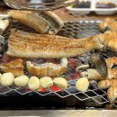 풍천빌딩 | 서울 은평구장어 맛집 가성비좋은 풍천장어 응암점