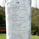 부산23산우회 천주산과 무학산 진달래/2024.04.10 이미지