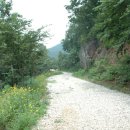 동면초등학교 이미지