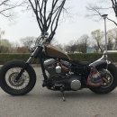 [재업] 100주년 LOWRIDER 커스텀 차량입니다. (2003년식) 이미지