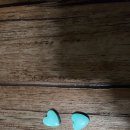 와일드캉갈 이미지